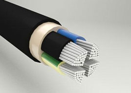 U 1000 ARO2V Cable